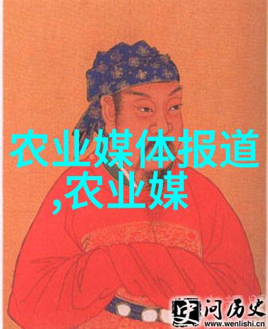 环境友好与盈利共存无土栽培投资回报率研究