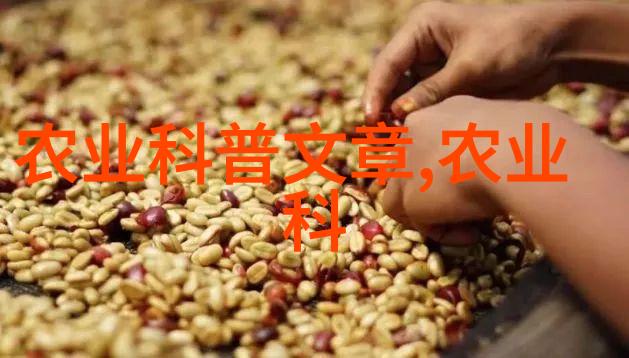 当年收益的药材种类繁多以下是一些常见且受欢迎的药材