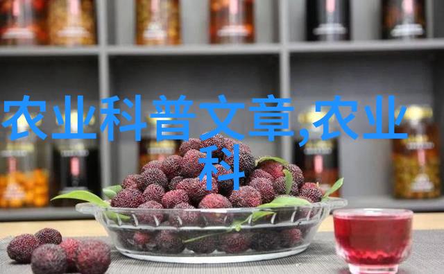 养虾技术与条件的全貌