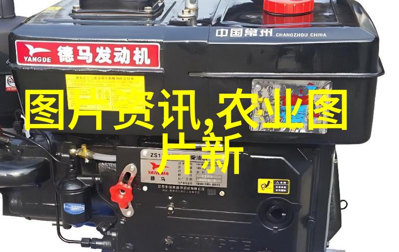 娱乐圈之太子驾到红毯上的独特魅力