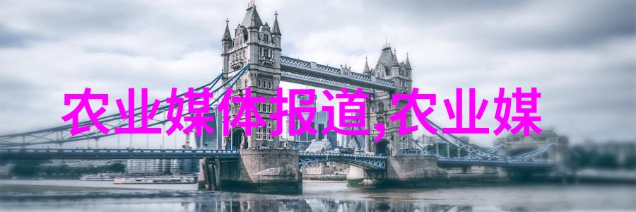 小额巨投如何在2.3万的投资中打造成功的小生意