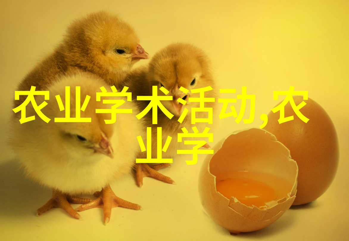 家中养什么花好养又聚财我家的钱树5种易养花卉让你致富不急
