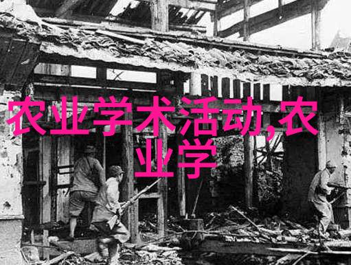 秋风轻拂自家阳台上的葡萄与柑橘之美