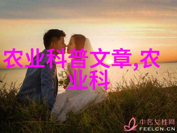 桑黄种植一亩投资多少钱金色利润的智慧选择