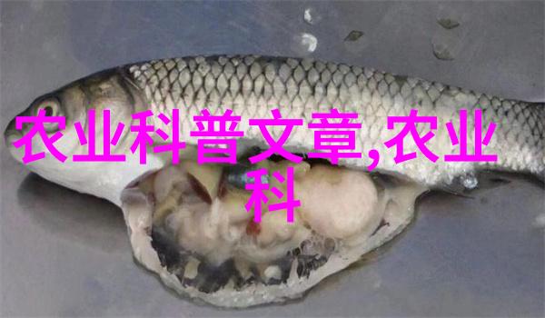 春意盎然的园丁艺术精致盆栽花卉之美