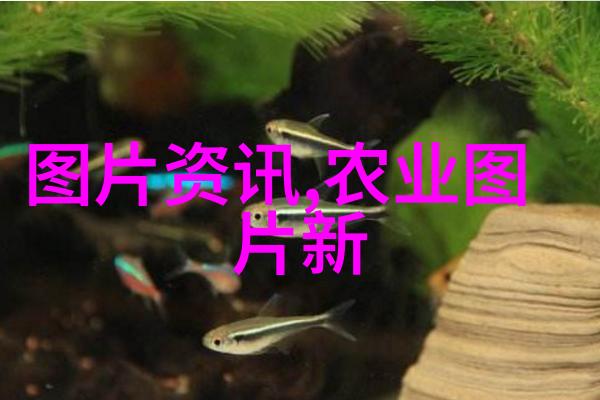 玉米秸秆打包后的存储方法有哪些