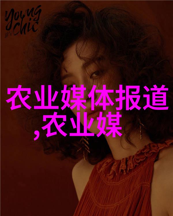无土大棚蔬菜种植流程我的蔬菜之旅