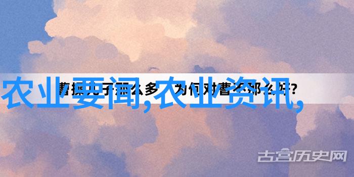 数据时代的新贵揭秘大数据技术背后的奥秘