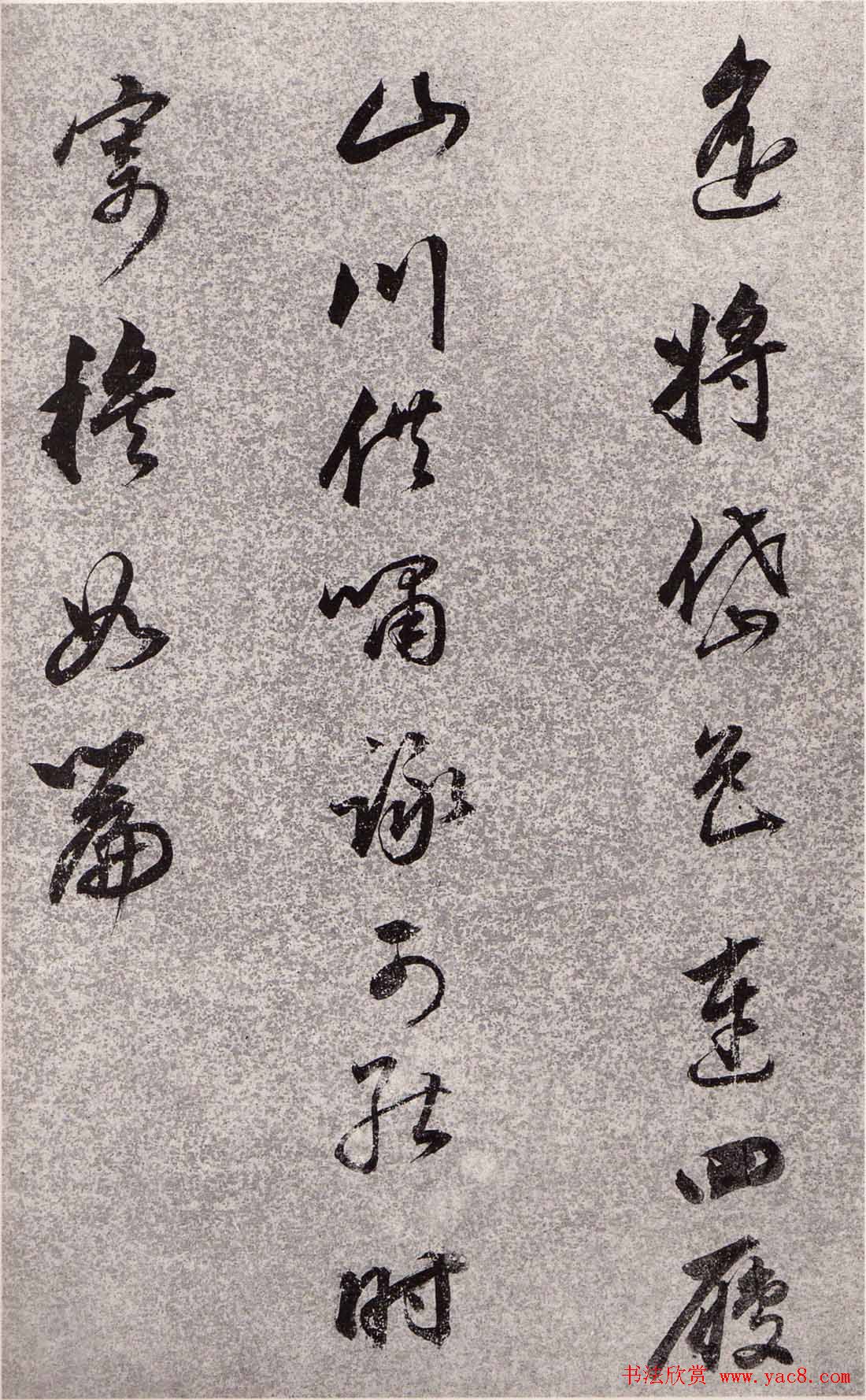 努比亚山羊沙漠之冠与神秘的角力