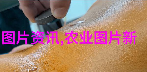 地方适宜性研究探讨不同地区适合种植灵芝的条件