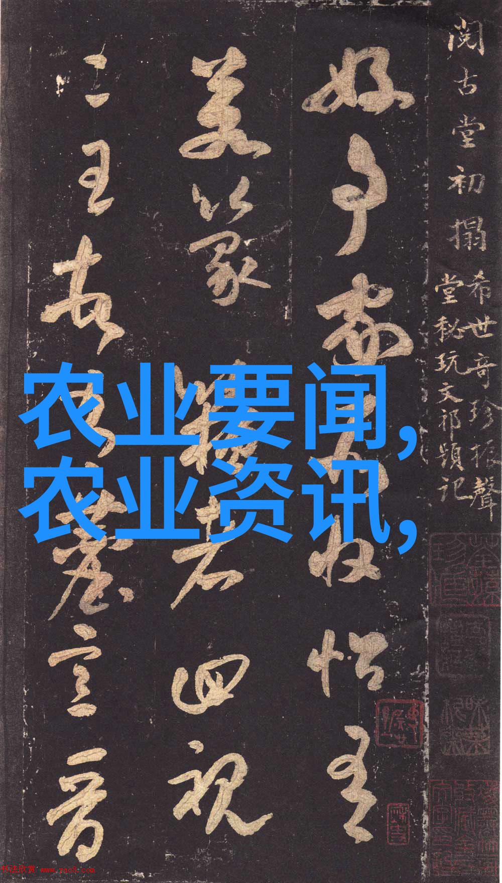 煦阳养生十首能助消化的茶香秘方