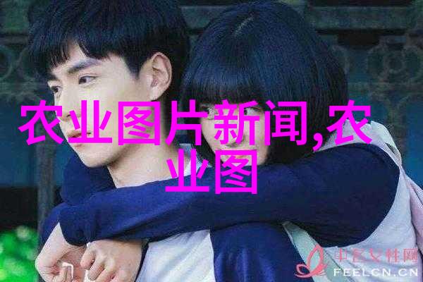 深化改革开放新十条政策全文解读推动经济高质量发展的关键举措