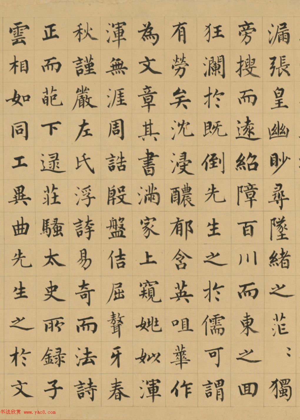 选择合适的黄姜品种如何评估其经济性和抗病性