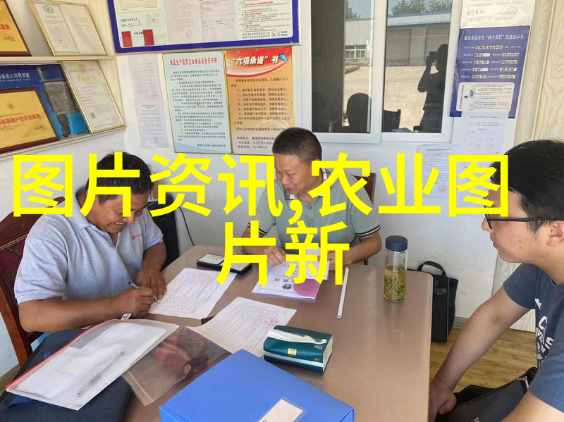 增添生活气息常用室内绿化苗木品种大全