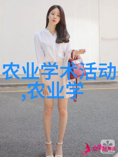 茶韵六境揭秘茶叶的艺术与智慧