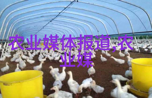 女生读大专学什么专业好就业人力资源管理市场营销电子商务