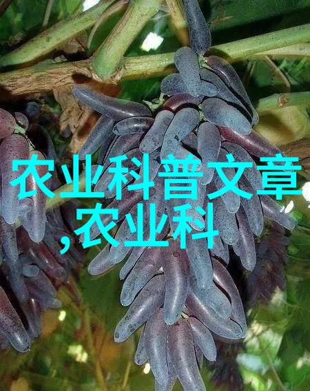 种植灵芝可靠吗 - 探索灵芝栽培的奥秘与挑战