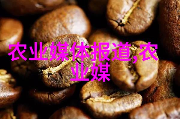 养蜜蜂的技巧和方法我来教你如何和这些小家伙们成为好朋友