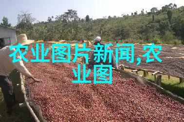 养殖业网上交易平台我的农产品卖得更有保障了
