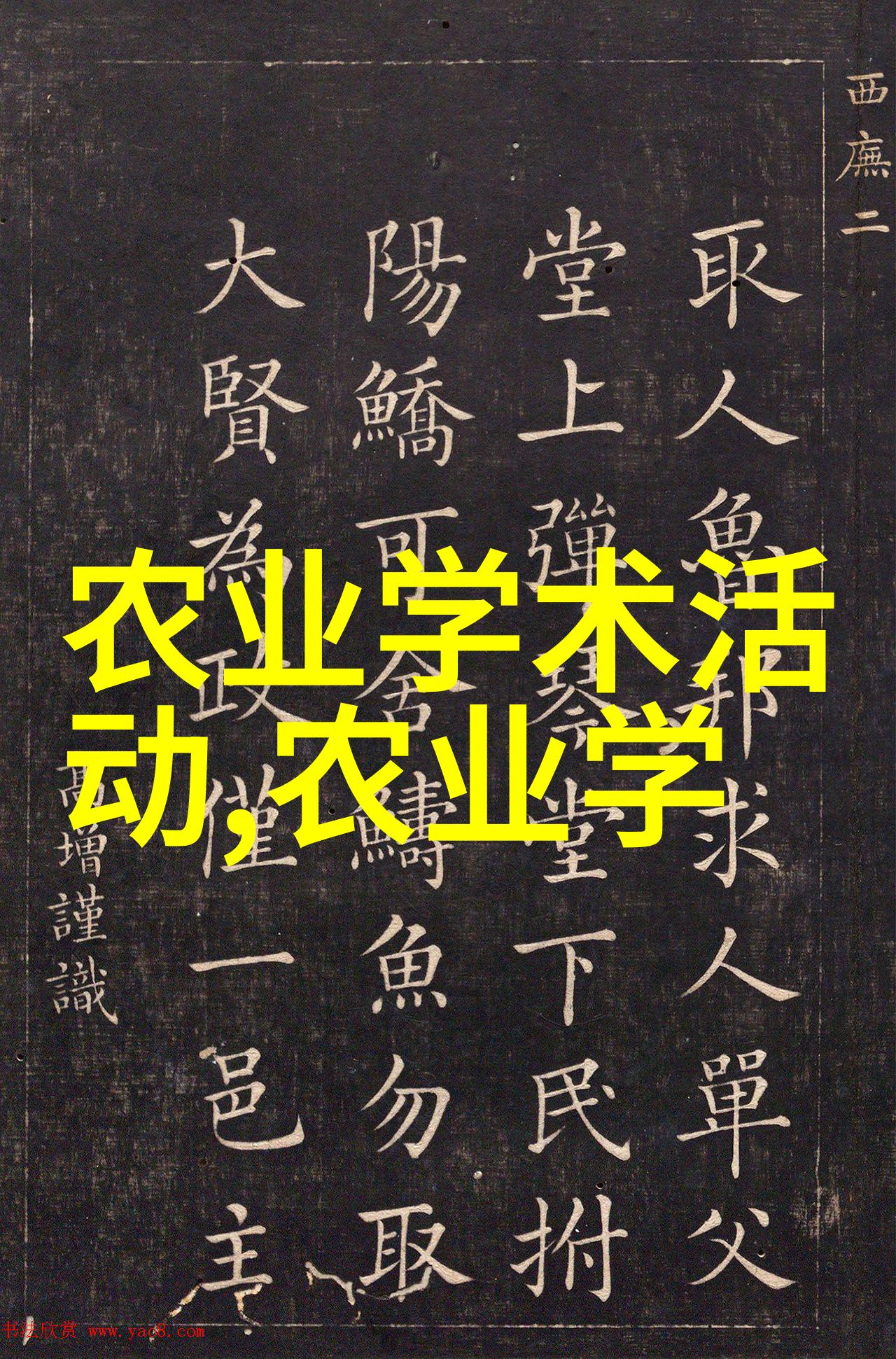 员工招聘培训及管理策略分析