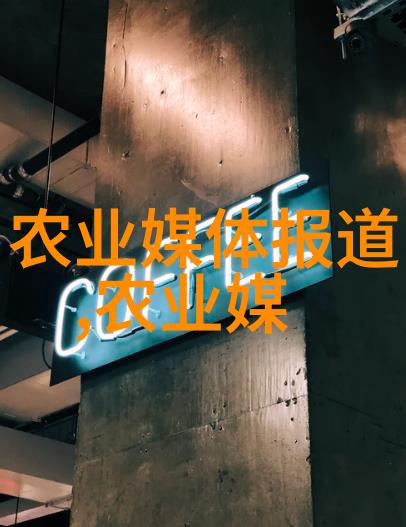 探索农业致富模式挖掘高效可持续的经济增值项目