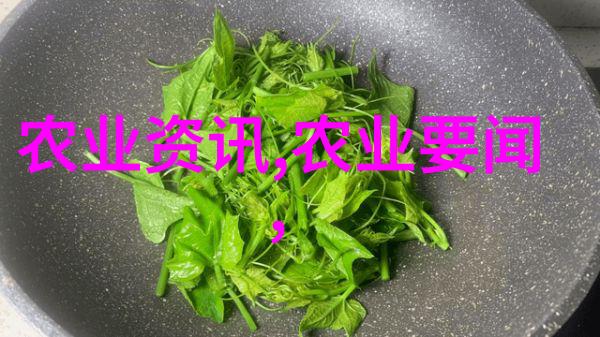 万宁市委常委我的领导之路