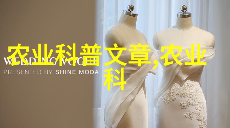 吸粪车的诞生与发展从简单工具到现代技术