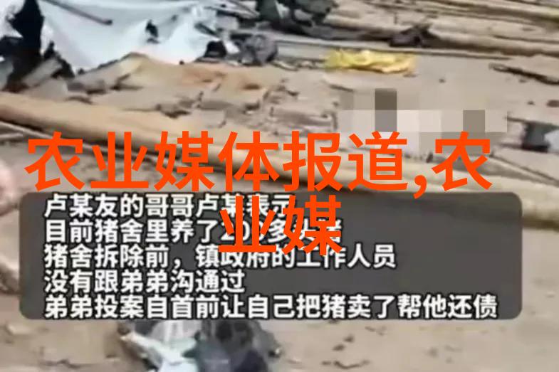 光照条件对板蓝根影响分析