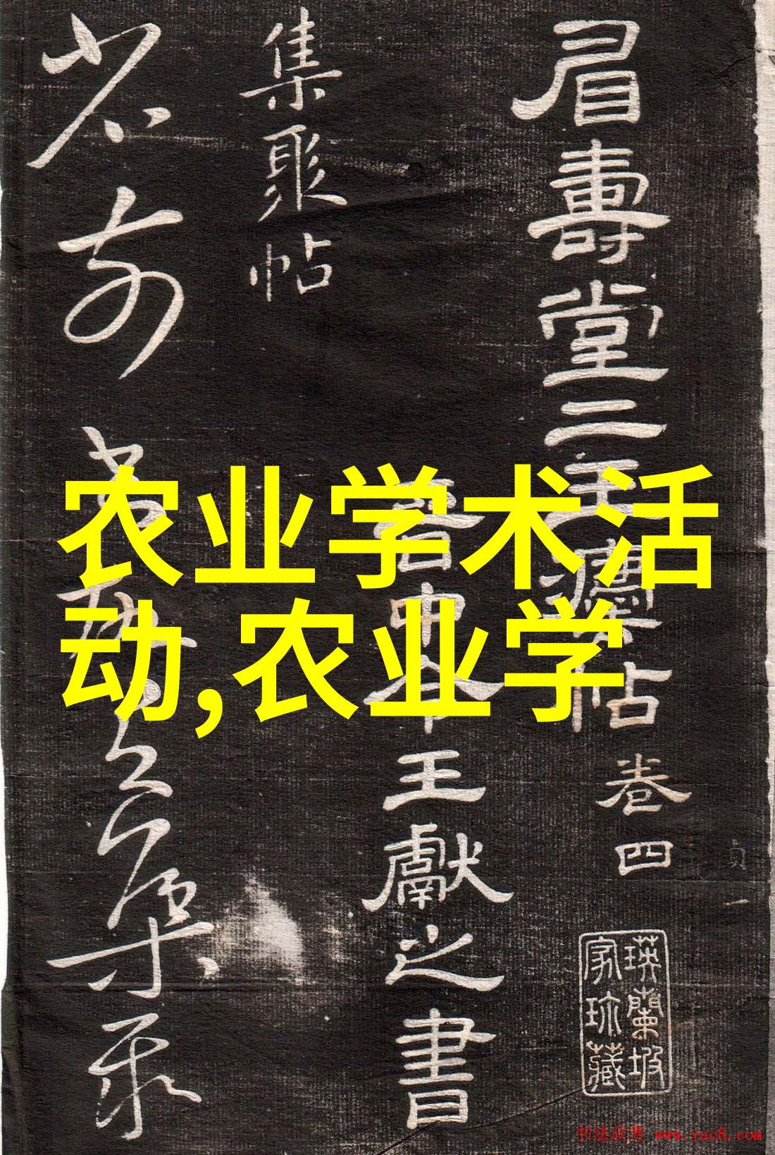 中药材种植基地网中医药文化的守护者