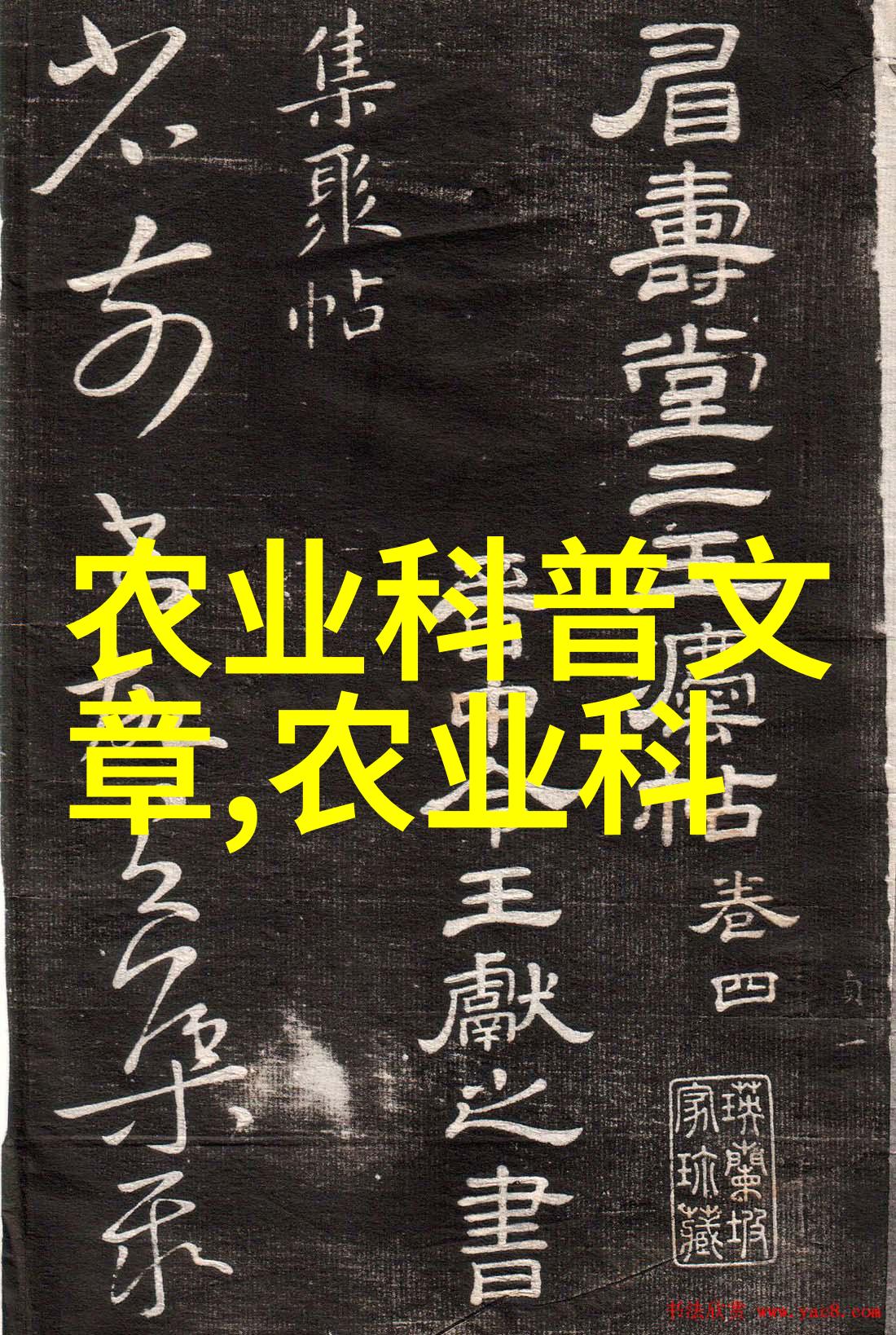 韦小宝的通天彻地奇遇