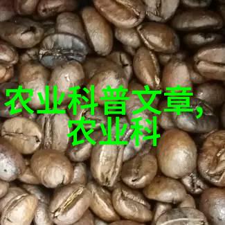 土壤准备与肥料管理提升庭院蔬菜产量的关键因素