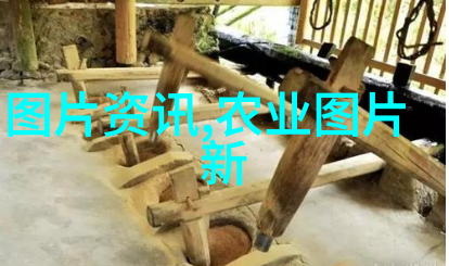 政策解读规定我来告诉你如何正确理解那些让人头大的小字号文档