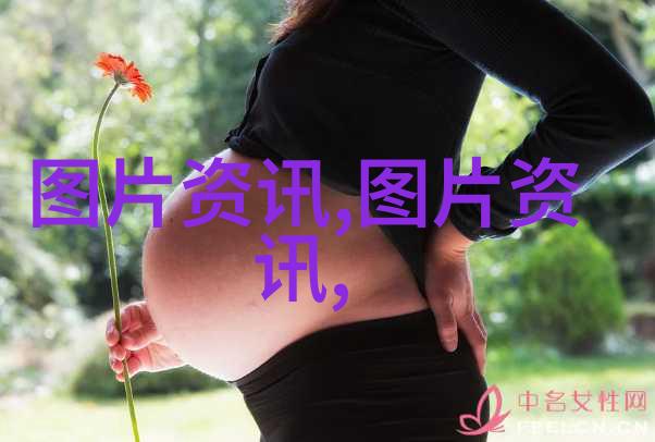 绿意盎然的故事从种子到餐桌的旅程