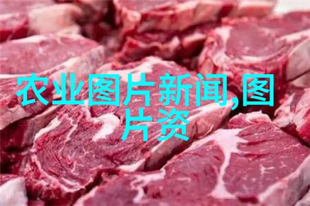 蜂巢之谜专用工具的秘密花园
