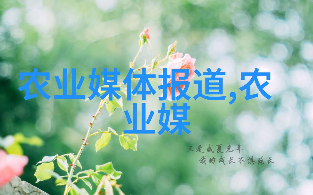 种植蔬菜大棚能挣钱吗我是怎么在家门口种出一片金子