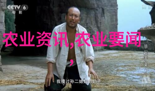 播种美丽揭秘花园里的种子故事