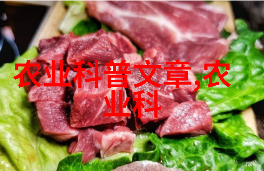 牧场梦想国家补贴政策解析与养殖羊牛羊的利好