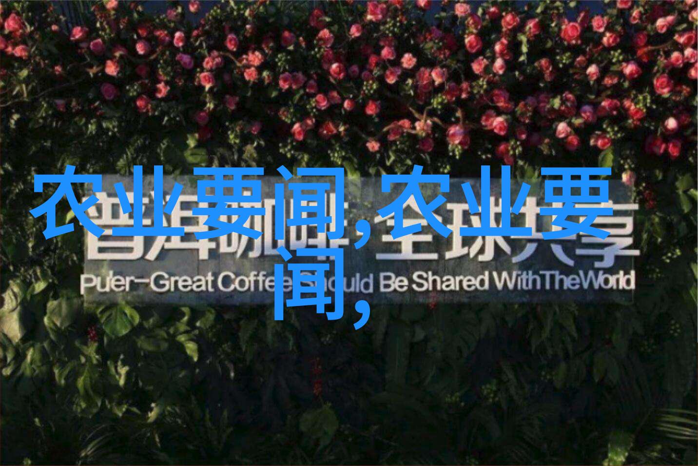 甘南州羊肚菌增收致富新路径如何通过遵守100条法律法规来开辟金路