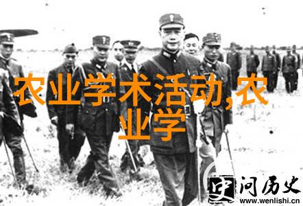 揭秘农村种植什么收入最快马铃薯田间管理的关键所在