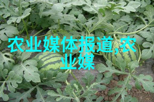 种植花卉的选择与准备