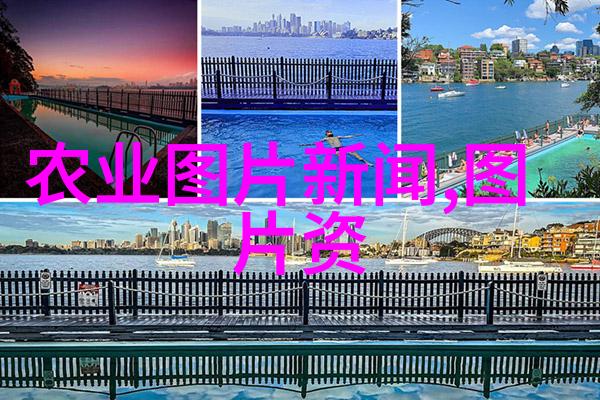 茶的神秘起源探寻