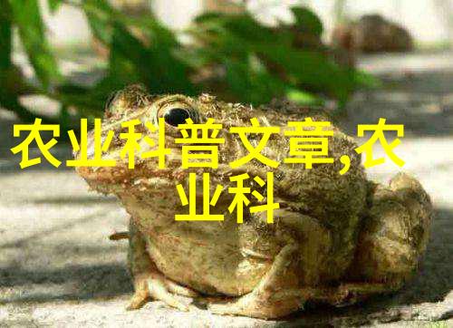 什么因素促进了中国农业机械化的快速发展