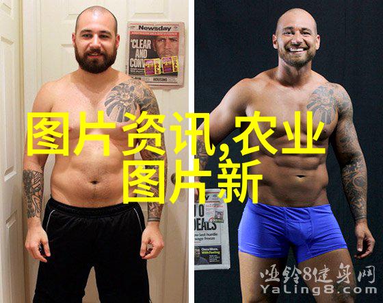 新手养蜂技术研究与实践指南