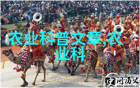 翠绿长廊下的醉心茶树的生态诗篇