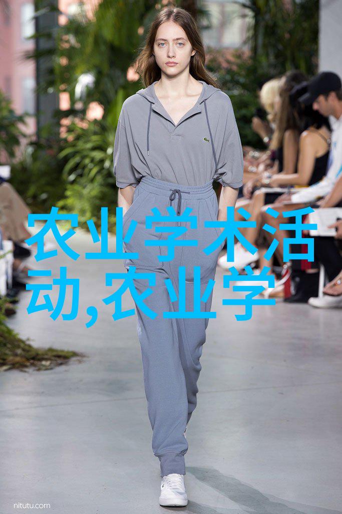 育蜂王技术教你怎么样轻松养出一群勤劳的蜜蜂