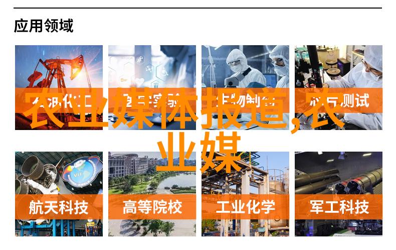 金黄稻海中盛逆境下的粮油奇迹