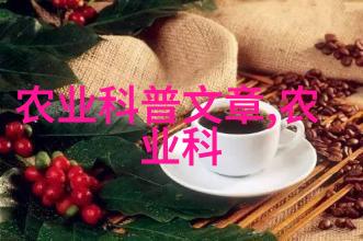 春夏秋冬果实绽放四季花开的奇迹果树