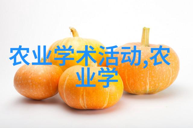 丰收赞歌土地的守望者与自然的和谐