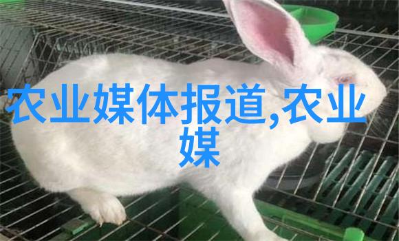 茼蒿油对人类健康有什么积极影响