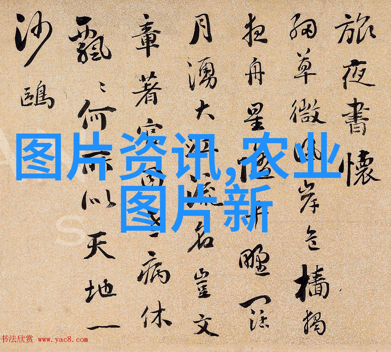 麦苗WINGYING翅膀上的希望与梦想